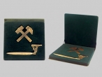 insygnia gornicze